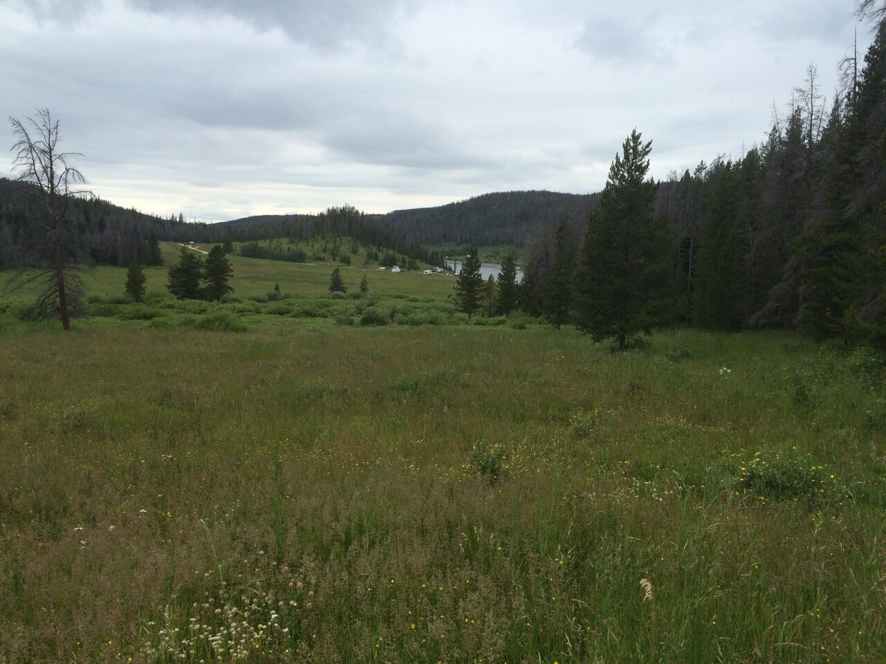 View from trail near Bockman Campground